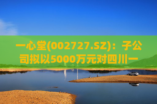 一心堂(002727.SZ)：子公司拟以5000万元对四川一心堂进行增资