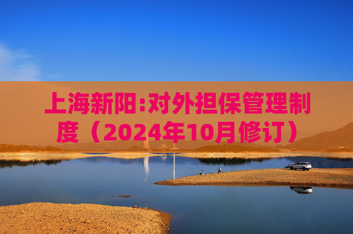 上海新阳:对外担保管理制度（2024年10月修订）