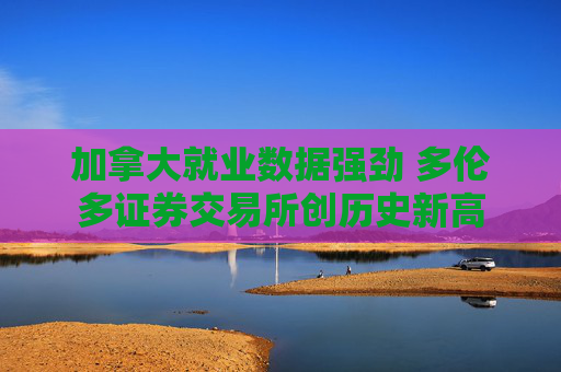 加拿大就业数据强劲 多伦多证券交易所创历史新高