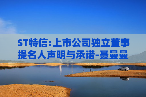 ST特信:上市公司独立董事提名人声明与承诺-聂曼曼