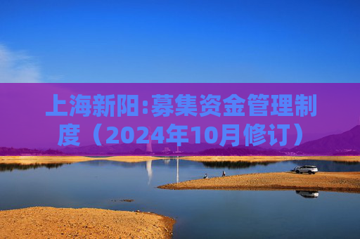 上海新阳:募集资金管理制度（2024年10月修订）