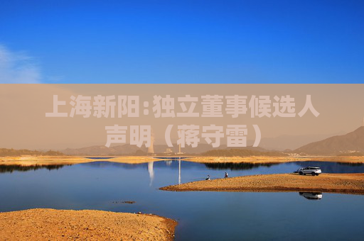 上海新阳:独立董事候选人声明（蒋守雷）