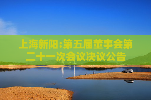 上海新阳:第五届董事会第二十一次会议决议公告