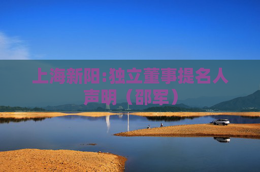 上海新阳:独立董事提名人声明（邵军）