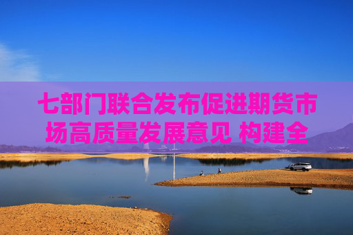 七部门联合发布促进期货市场高质量发展意见 构建全方位、立体化的期货市场发展与监管布局，打造世界一流期货交易所