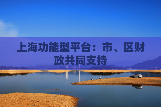 上海功能型平台：市、区财政共同支持