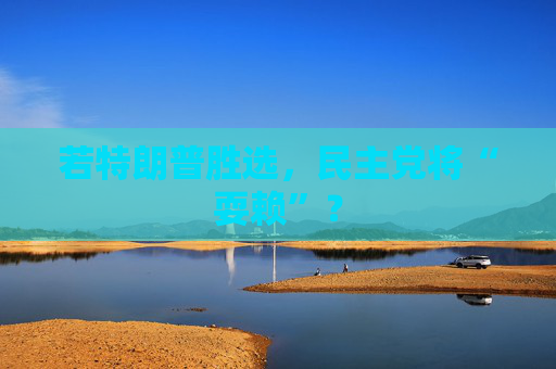 若特朗普胜选，民主党将“耍赖”？