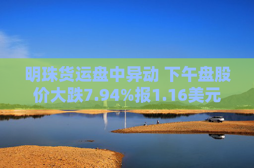 明珠货运盘中异动 下午盘股价大跌7.94%报1.16美元