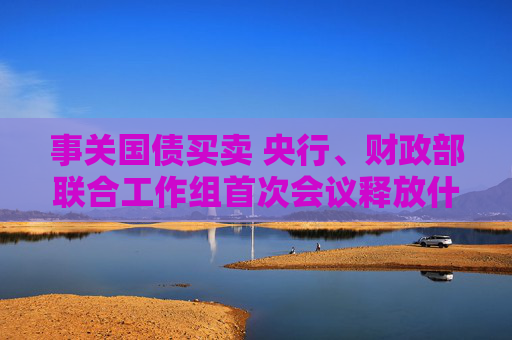 事关国债买卖 央行、财政部联合工作组首次会议释放什么信号？