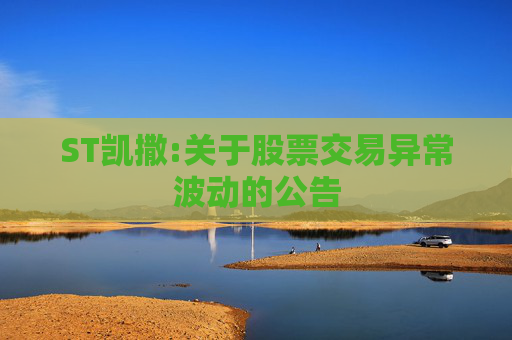 ST凯撒:关于股票交易异常波动的公告