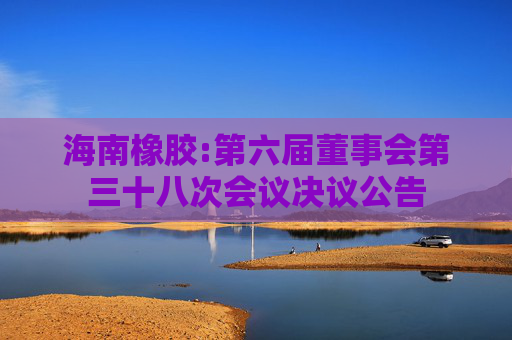 海南橡胶:第六届董事会第三十八次会议决议公告