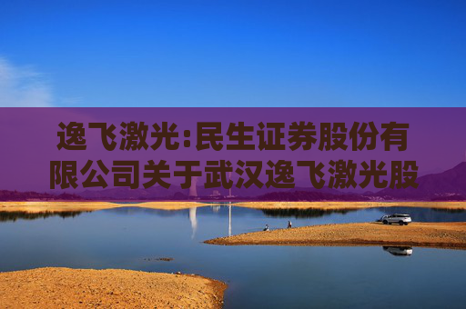 逸飞激光:民生证券股份有限公司关于武汉逸飞激光股份有限公司差异化权益分派特殊除权除息事项的核查意见