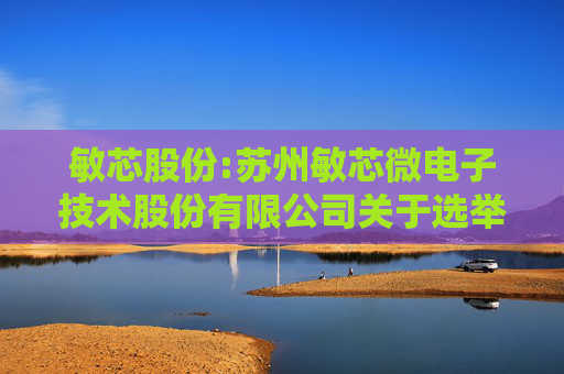 敏芯股份:苏州敏芯微电子技术股份有限公司关于选举第四届监事会职工代表监事的公告
