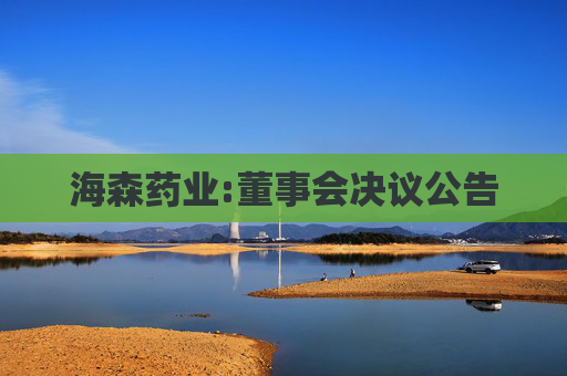海森药业:董事会决议公告