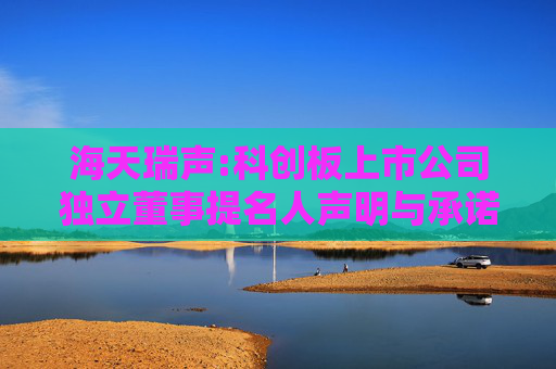 海天瑞声:科创板上市公司独立董事提名人声明与承诺-任凌玉