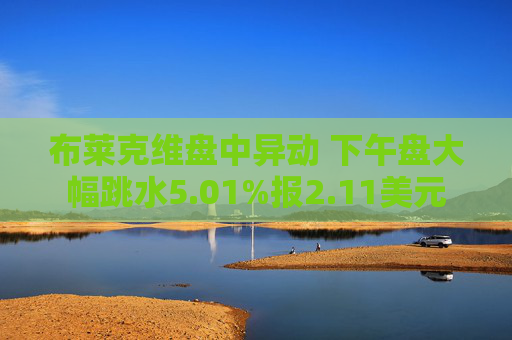 布莱克维盘中异动 下午盘大幅跳水5.01%报2.11美元