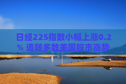 日经225指数小幅上涨0.2% 追随多数美国股市涨势