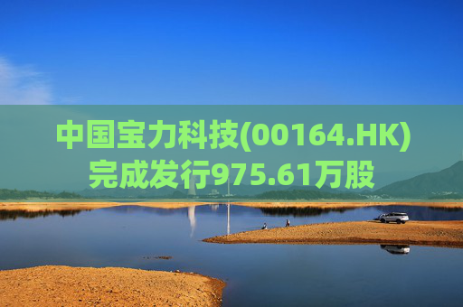 中国宝力科技(00164.HK)完成发行975.61万股