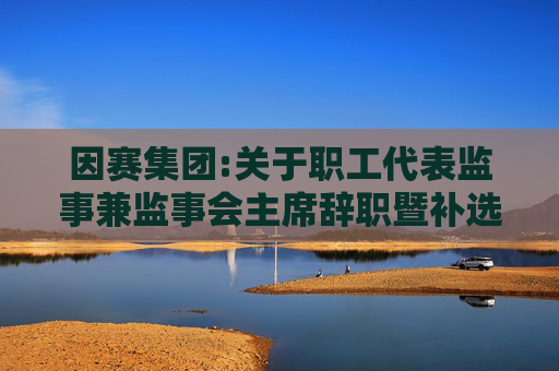 因赛集团:关于职工代表监事兼监事会主席辞职暨补选职工代表监事、监事会主席的公告