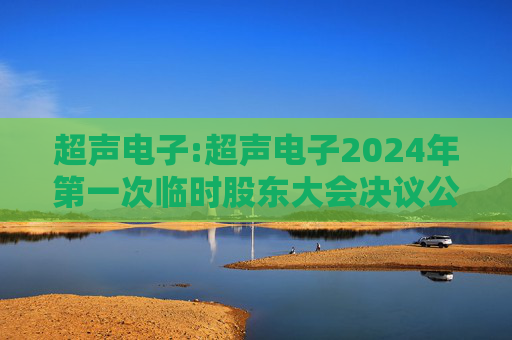 超声电子:超声电子2024年第一次临时股东大会决议公告