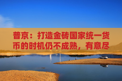 普京：打造金砖国家统一货币的时机仍不成熟，有意尽快结束乌克兰冲突