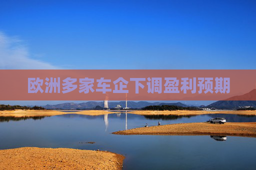 欧洲多家车企下调盈利预期