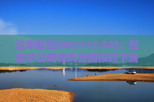 达华智能(002512.SZ)：控股子公司海天丝路拟对下属子公司增资