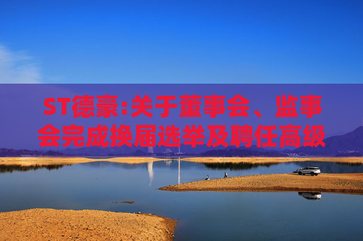 ST德豪:关于董事会、监事会完成换届选举及聘任高级管理人员、证券事务代表的公告