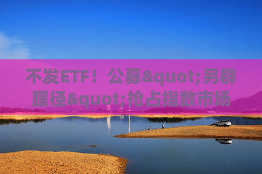 不发ETF！公募"另辟蹊径"抢占指数市场