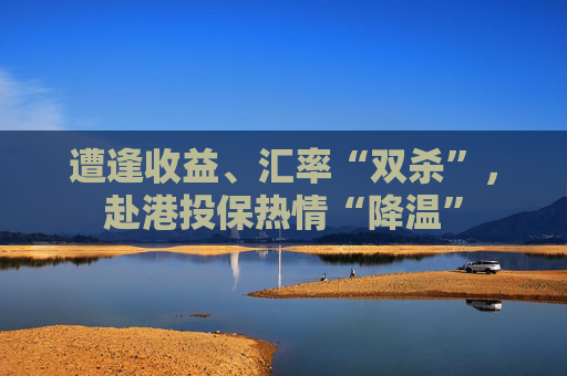 遭逢收益、汇率“双杀”，赴港投保热情“降温”