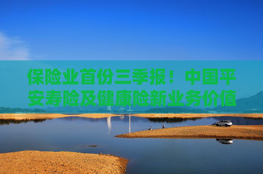 保险业首份三季报！中国平安寿险及健康险新业务价值同比增34% 行业评价：权益投资比例仍有较大提升空间