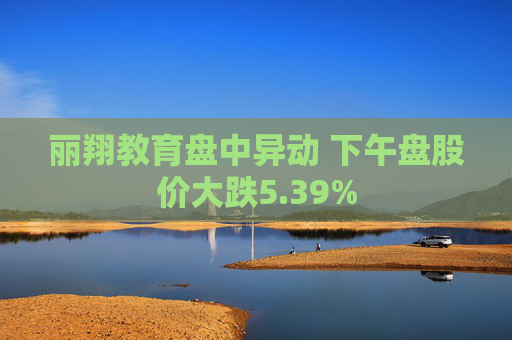 丽翔教育盘中异动 下午盘股价大跌5.39%