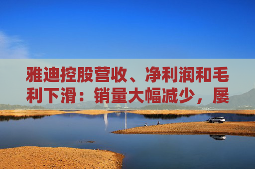 雅迪控股营收、净利润和毛利下滑：销量大幅减少，屡屡抽查不合格