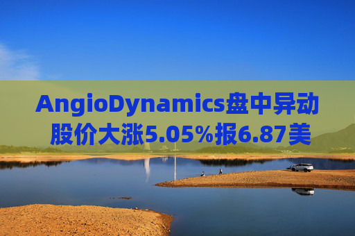 AngioDynamics盘中异动 股价大涨5.05%报6.87美元