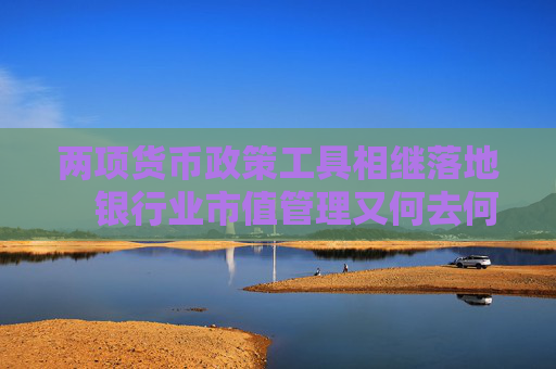 两项货币政策工具相继落地　银行业市值管理又何去何从