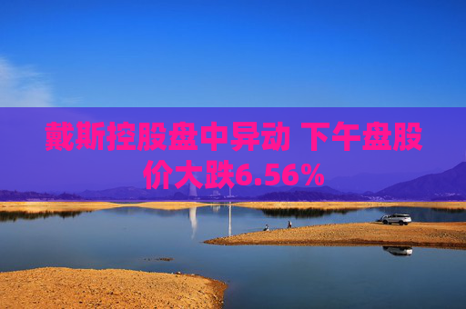 戴斯控股盘中异动 下午盘股价大跌6.56%