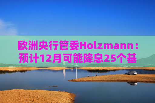 欧洲央行管委Holzmann：预计12月可能降息25个基点