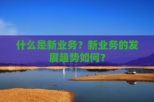 什么是新业务？新业务的发展趋势如何？
