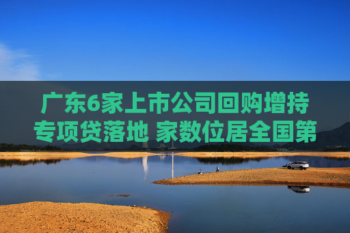 广东6家上市公司回购增持专项贷落地 家数位居全国第一