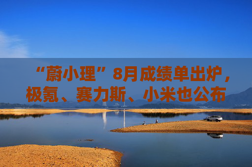 “蔚小理”8月成绩单出炉，极氪、赛力斯、小米也公布了！余承东：新能源汽车的下半场是智能化