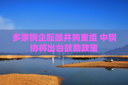多家钢企酝酿并购重组 中钢协将出台鼓励政策