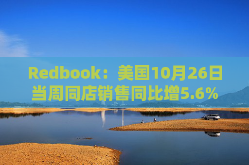 Redbook：美国10月26日当周同店销售同比增5.6% 万圣节商品销售升温