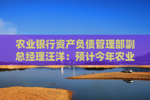 农业银行资产负债管理部副总经理汪洋：预计今年农业银行的净息差将保持基本稳定