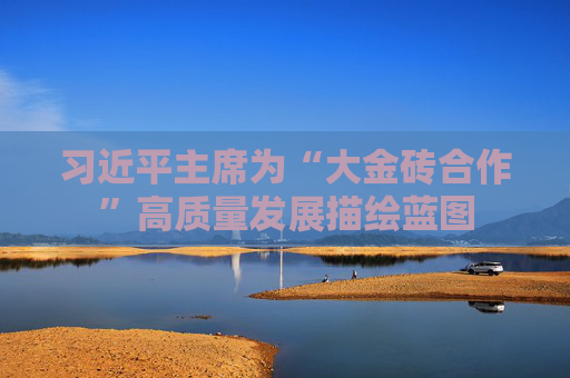 习近平主席为“大金砖合作”高质量发展描绘蓝图