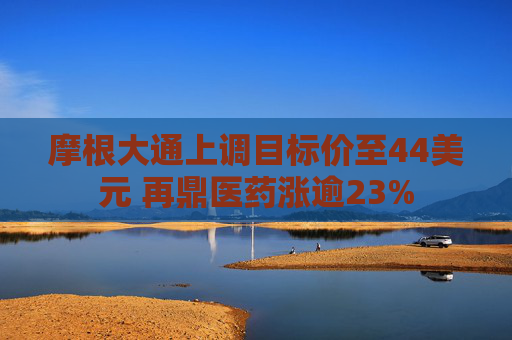 摩根大通上调目标价至44美元 再鼎医药涨逾23%