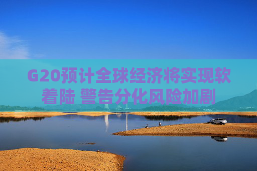 G20预计全球经济将实现软着陆 警告分化风险加剧