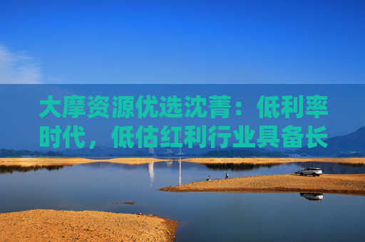 大摩资源优选沈菁：低利率时代，低估红利行业具备长期配置价值