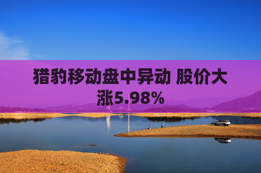 猎豹移动盘中异动 股价大涨5.98%