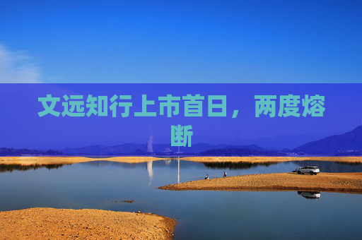 文远知行上市首日，两度熔断