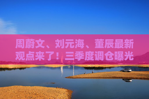 周蔚文、刘元海、董辰最新观点来了！三季度调仓曝光
